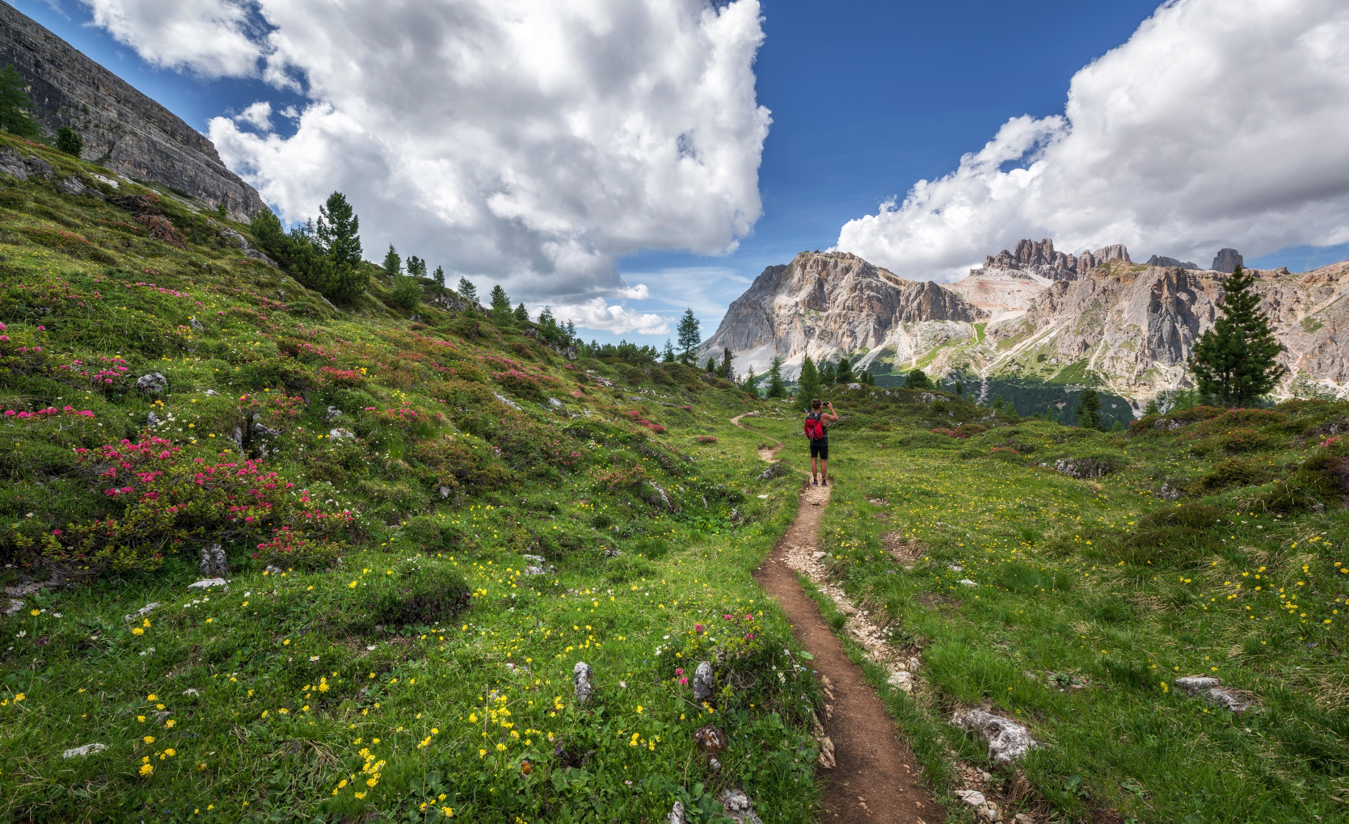 a hiker in the mountains